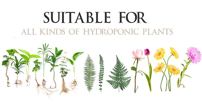 Plant Terrarium with Wooden Stand, Air Planter Bulb Glass Vase Metal Swivel Holder Retro Tabletop for Hydroponics Home Garden Office Decoration - 3 Bulb Vase